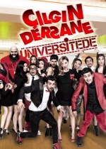 Çılgın Dersane Üniversitede poster