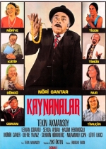 Kaynanalar poster