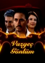 Vazgeç Gönlüm poster