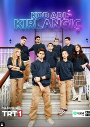 Kod Adı Kırlangıç